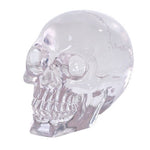 Pacific Giftware Crystal Clear Translucent Skull Collectible Figurine 4.5 Inch (Clear)