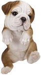 Pacific Giftware PT Realistic Look Hanging Statue Pot PAL Bulldog Puppy Dog Home Decorative Resin Figurine