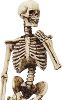 Skeleton Figurine