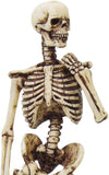 Skeleton Figurine