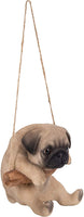 Hanging Pug Puppy