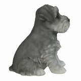 Adorable Seated Mini Schnauzer Puppy Collectible Figurine Amazing Dog Likeness
