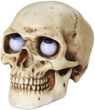 Pacific Giftware Novelty Skull with Rolling Movable Eye Ball Gothic Collectible Halloween Decor (Medium)