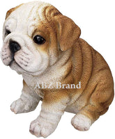 Adorable Wrinkled English Bulldog Puppy Red White Bully Statue Glass Eyes