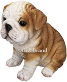 Adorable Wrinkled English Bulldog Puppy Red White Bully Statue Glass Eyes