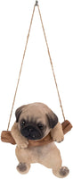 Hanging Pug Puppy