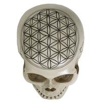 PACIFIC GIFTWARE Sacred Geometry Skull Figurine Statue