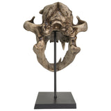 PACIFIC GIFTWARE Replica Extinct Pantherine Animals American lion Skeleton Skull Fossil Resin Figurine
