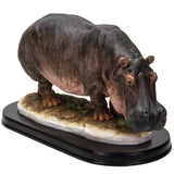 PACIFIC GIFTWARE Realistic African Hippopotamus Hippo Resin Figurine Statue