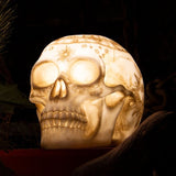 Skull Shade LED Light Bulb Night Lamp with USB Charging Ports