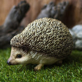 PACIFIC GIFTWARE Realistic Adorable Hedgehog Pet Resin Figurine Statue