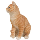 PACIFIC GIFTWARE Realistic Looking Orange Tabby Cat Kitten Collectible Figurine Amazing Detail Glass Eyes Hand Painted Resin 12 inch Figurine Perfect for Cat Lover Collectible