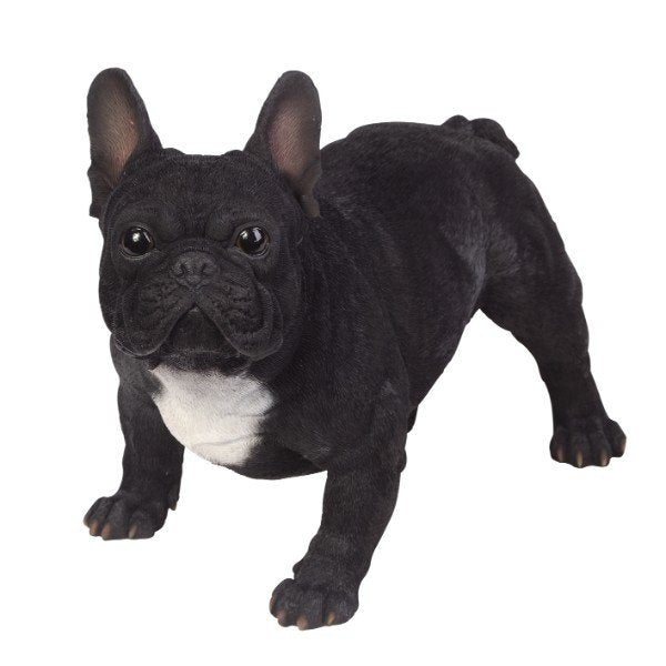 PACIFIC GIFTWARE Realistic Large Size Statue Black and White French Bulldog Animal Dog Decorative Resin Figurine