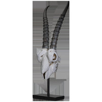 PACIFIC GIFTWARE Polystone Springbok Skull with Antler Horns on Metal Stand Home Decorative Accent Faux Taxidermy Animal Trophy 29.5 in