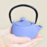 JAPAN COLLECTION Sky Blue Cast Iron Round Teapot With Lid and Stainless Steel Infuser