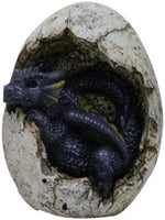PACIFIC GIFTWARE 4.75 Inch Purple Dragon Hatchling in Egg Casing Statue Figurine