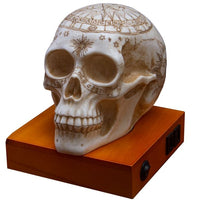 Skull Shade LED Light Bulb Night Lamp with USB Charging Ports