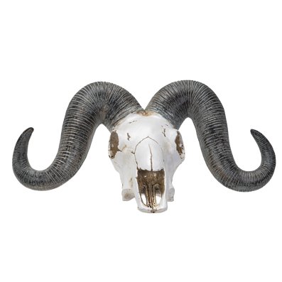 PACIFIC GIFTWARE Faux Taxidermy Ram Skull Replica Bust 13”L