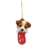 PACIFIC GIFTWARE Jack Russell In Holiday Sock Decorative Holiday Festive Christmas Hanging Ornament