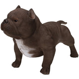 PACIFIC GIFTWARE Animal World Realistic American Bully Dog Home Decor Resin Figurine