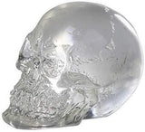 PACIFIC GIFTWARE 12 pcs Clear Crystal Like Mini Skulls Figurines Busts