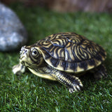 PACIFIC GIFTWARE Realistic Yellow Belly Turtle Resin Figurine