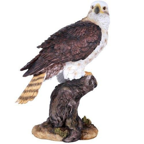 PACIFIC GIFTWARE Wildlife Red Tailed Hawk Eagle Birds of Prey Figurine Statue 10 Inch