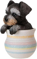 Pacific Giftware Mini Schnauzer in Pot, A Mini Schnauzer in Realistic Form Seated in a Pot, Decorative Mini Schnauzer in Pot