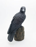 PACIFIC GIFTWARE Dark Raven Crow Perched On Tree Stump Collectible Figurine Lifelike Colors 6 inch Halloween Haunted House Evil Decor