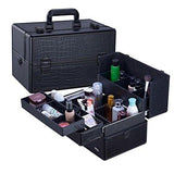 14.5" Professional Cosmetic Organizer Box with Removable/Adjustable Dividers Pink