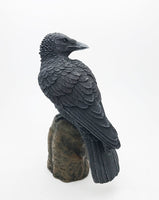 PACIFIC GIFTWARE Dark Raven Crow Perched On Tree Stump Collectible Figurine Lifelike Colors 6 inch Halloween Haunted House Evil Decor