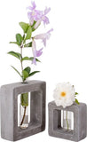BOTEGA EXCLUSIVE Concrete Square Propagation Vase