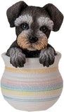 Pacific Giftware Mini Schnauzer in Pot, A Mini Schnauzer in Realistic Form Seated in a Pot, Decorative Mini Schnauzer in Pot