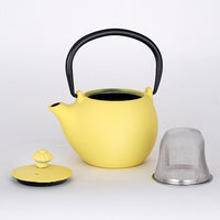 JAPAN COLLECTION Light Yellow Cast Iron Round Teapot With Lid and Stainless Steel Infuser