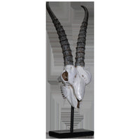 PACIFIC GIFTWARE Polystone Springbok Skull with Antler Horns on Metal Stand Home Decorative Accent Faux Taxidermy Animal Trophy 29.5 in