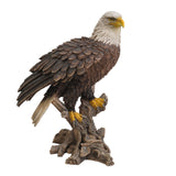17.5" Large American Bald Sea White-tailed Eagle stand on Wood Figurine Statue